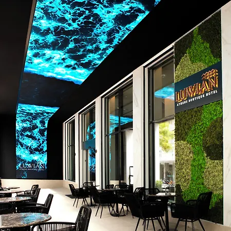 Luwian Athens Boutique Hotel-2