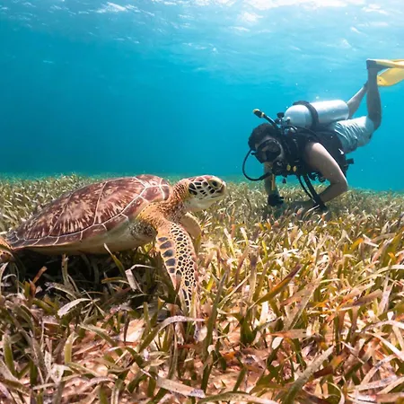 Reef Haven Belize-2