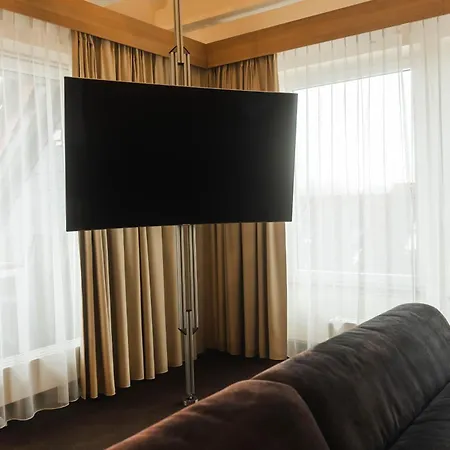 Hotel Villa Will-3