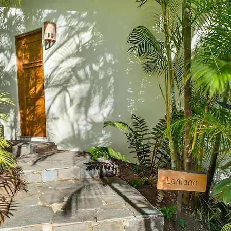 Ocio Villas Mal Pais-2