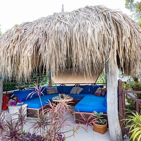 Hibiscus Beach House-2