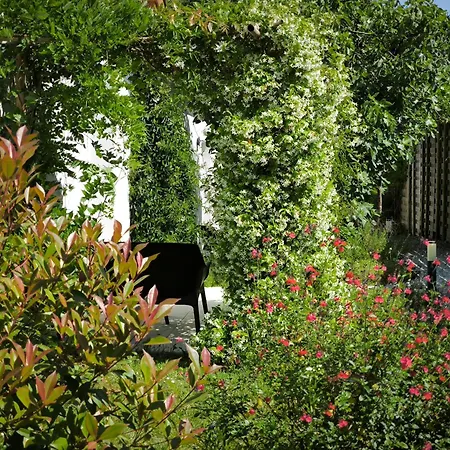 Les Treilles de Salies - Spa et sauna intérieur-3