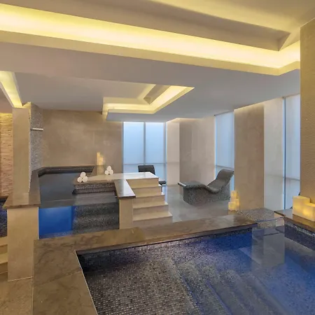 Hyatt Regency Dubai Creek Heights-3