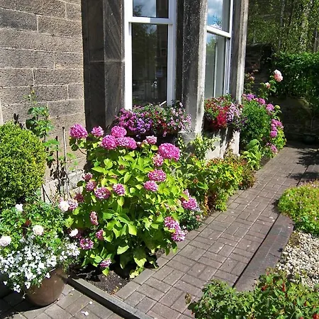 Highfield Guest House-3