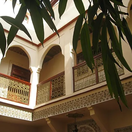 Riad Amiris-2
