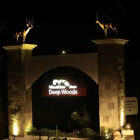 Deep Woods Resort-3