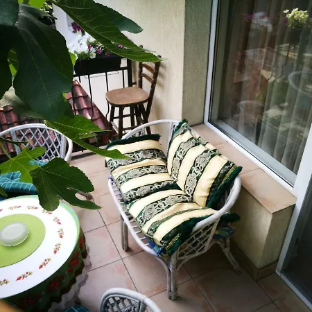 Hotel Paradise-2