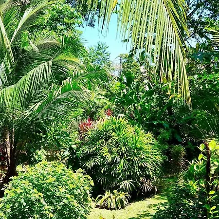 Mar Verde Lodge-3