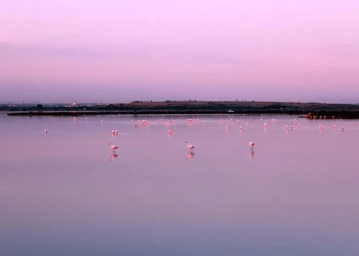 Studio Le 233 Port Camargue, Piscine, 4 Personnes