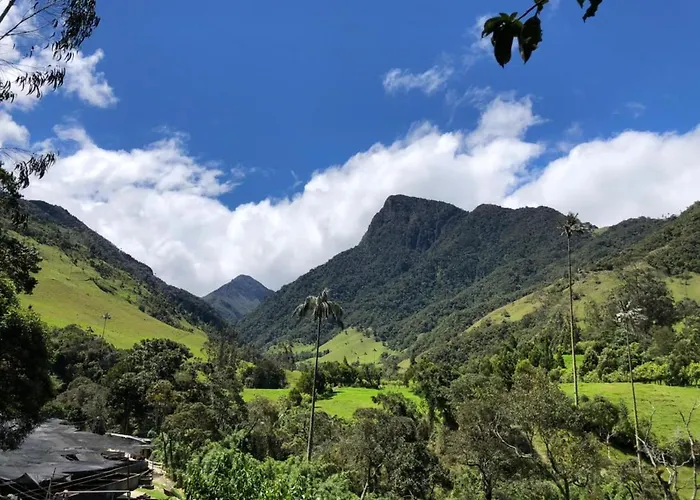 Cabañas Valle del Cocora La Truchera