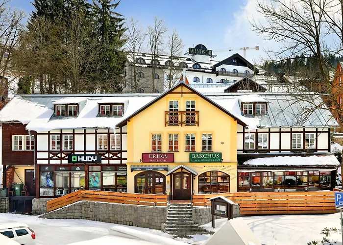 Hotel: Hotel Erika