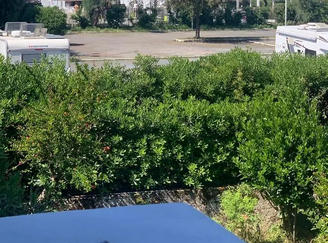 La Piscina 2