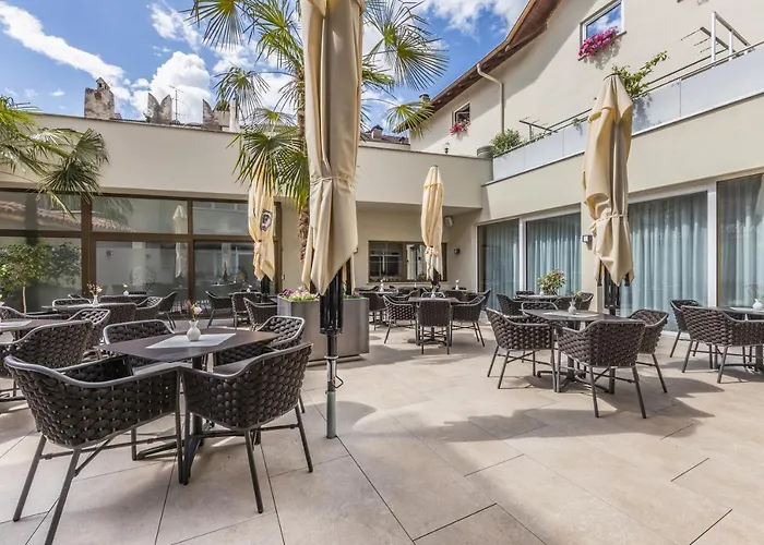 Hotel adatto agli animali: Goldener Löwe - Anno 1773