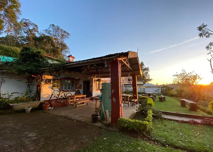Hostel: The Birdhouse Backpackers Hostel