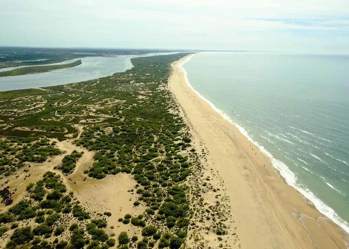 Estival Isla Cristina