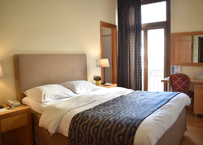 Hôtel accueillant les animaux: Le Palace Hotel