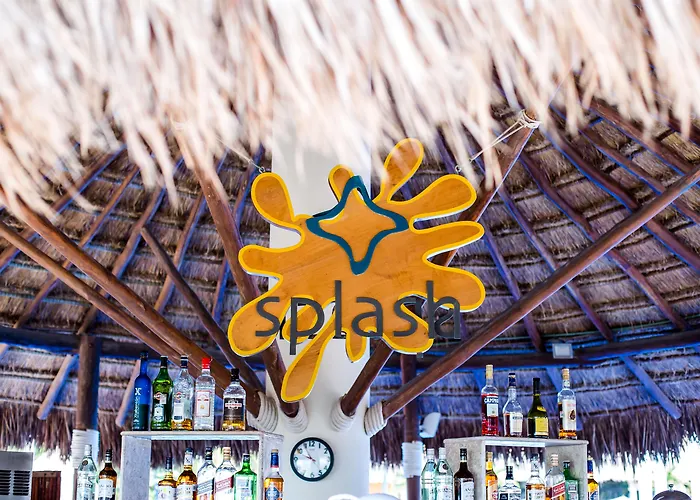 Hôtel accueillant les animaux: Dreams Sapphire Resort&Spa