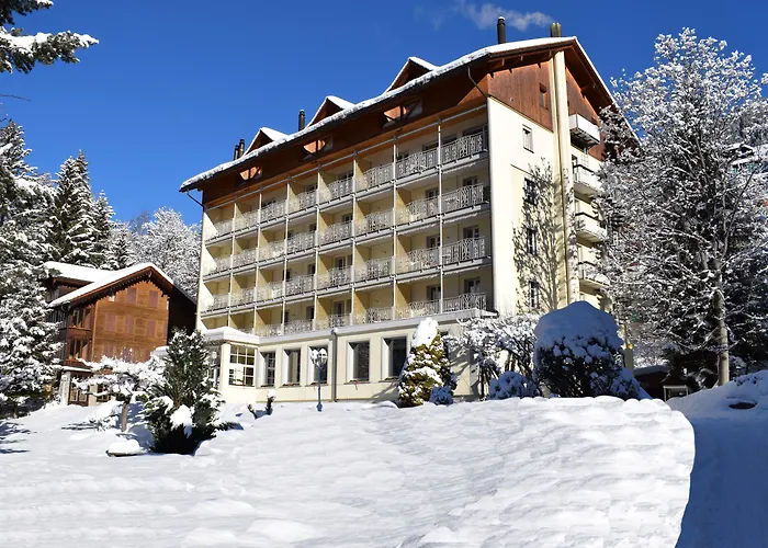 Hotel with view: Hotel Wengener Hof