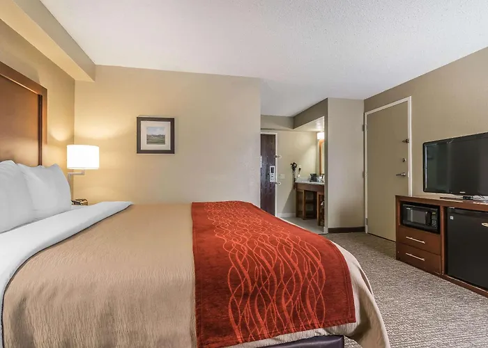 Comfort Inn & Suites Lexington - Hamburg I-75