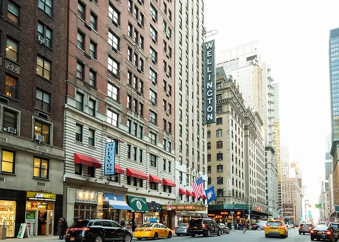 Hôtel accueillant les animaux: Wellington Hotel