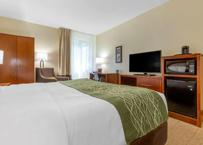 Comfort Inn & Suites Lenoir Hwy 321 Northern Foothills