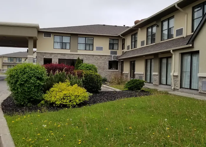 Cheap hotels Comfort Inn Toronto North