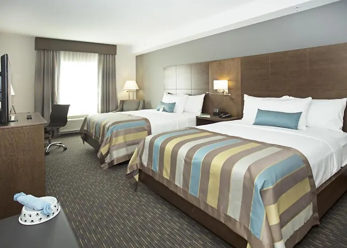 Wingate By Wyndham Airport