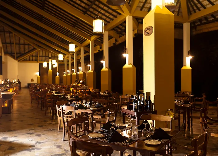 Ping Pong Hotel: Amaya Lake Dambulla