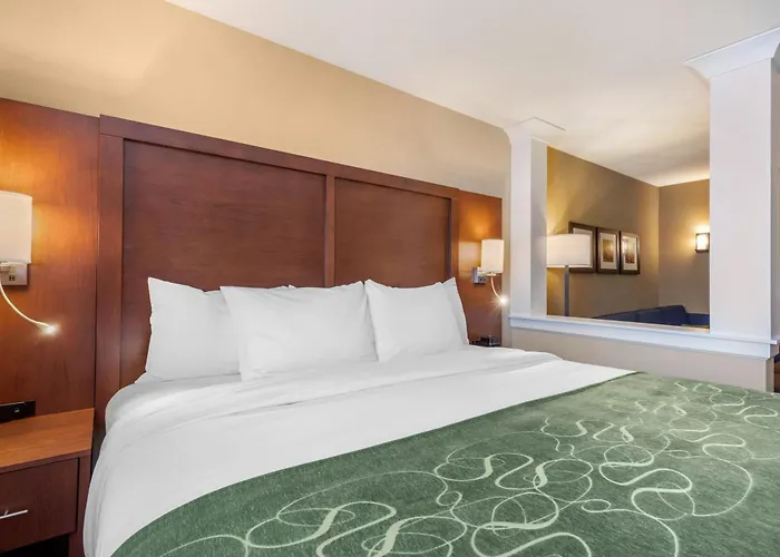 Comfort Inn & Suites Schenectady - Scotia