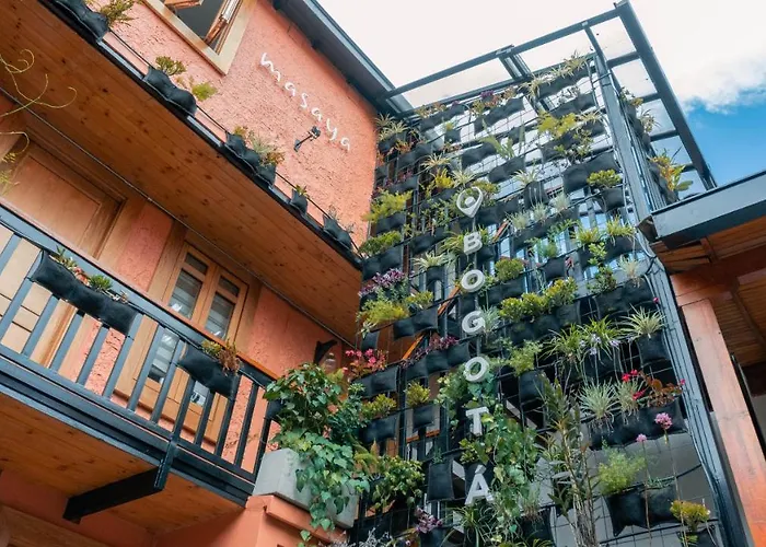  Masaya Bogota
