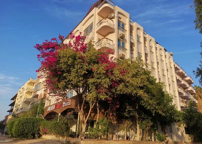 Hotel de praia: Golden Rose Hotel