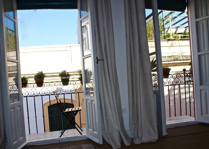 Perros hoteles Eva Recommends Sentencia