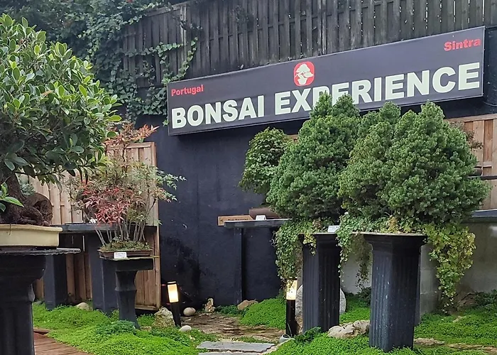  Zen Guest House - Museu Do Bonsai