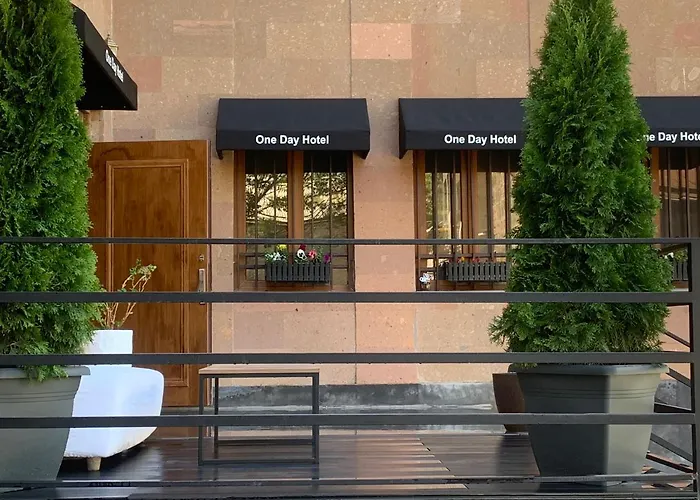 Hotel all'aeroporto: One Day Hotel
