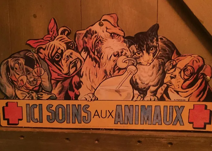 Hôtel accueillant les animaux: B&B Chambre d'Autres, Massages