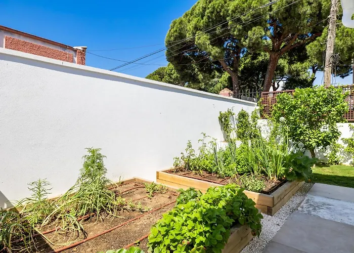 Casa Las Palmeras
