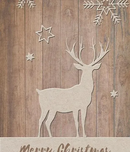 Hotel vicino al College: Bozen Mitte