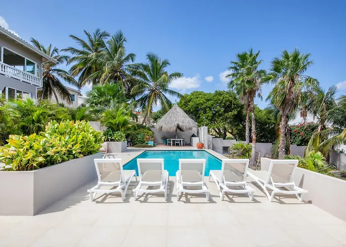 Jt Curacao s