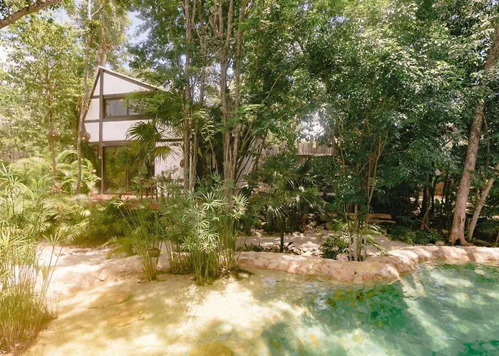 Nahouse Jungle Lodges