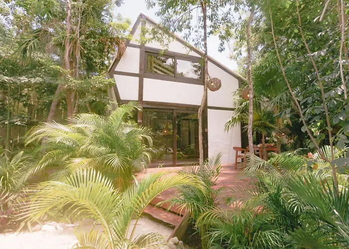 Nahouse Jungle Lodges