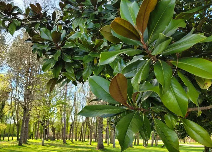 Hôtel accueillant les animaux: -La Batisse -Parking privé -Coeur historique - La Clef de Honfleur