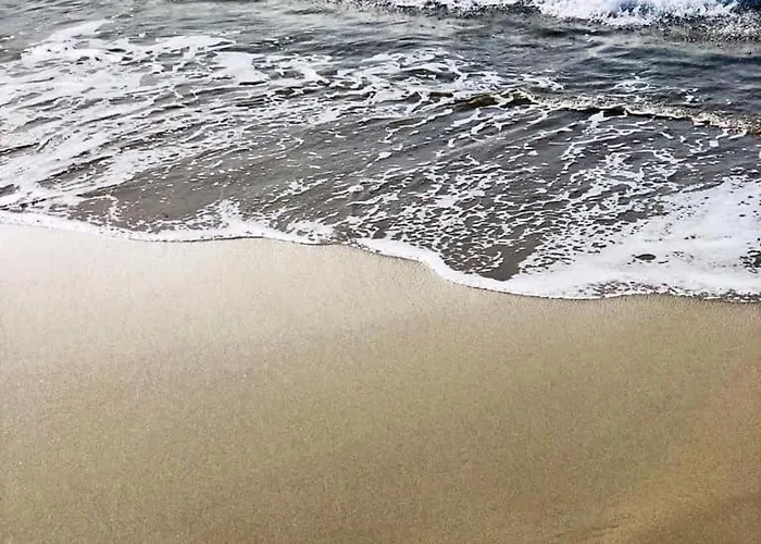 Palm Beach