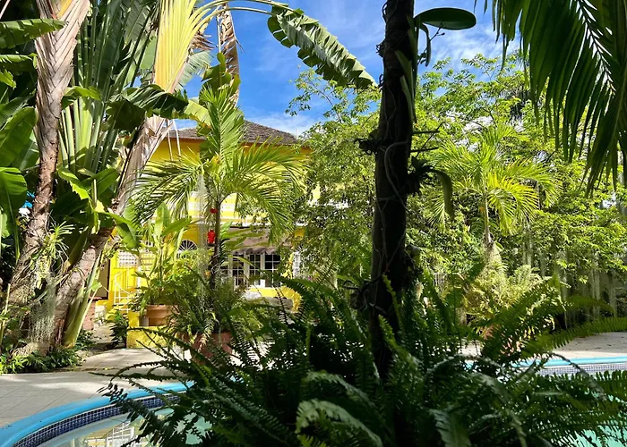 Guest house: Orchid Cottage