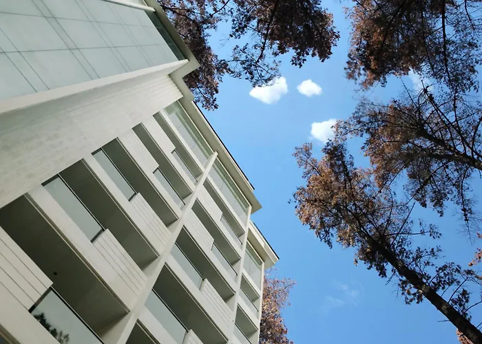 4 star hotel: The Plaza Lodge Baguio