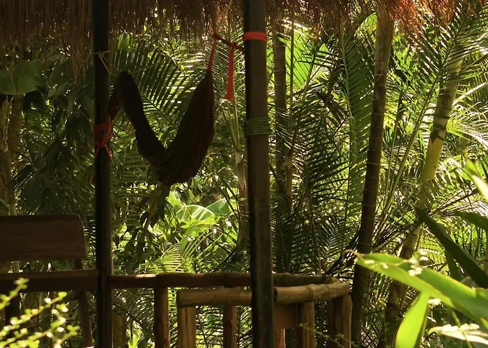 Oasis