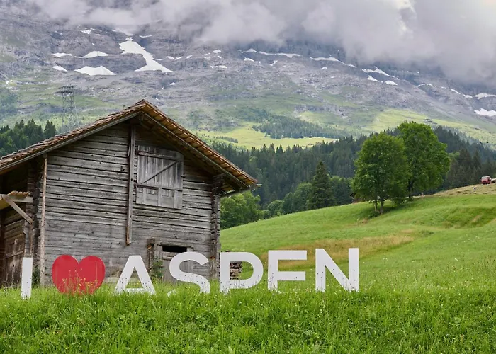 Aspen Alpine Lifestyle Hotel
