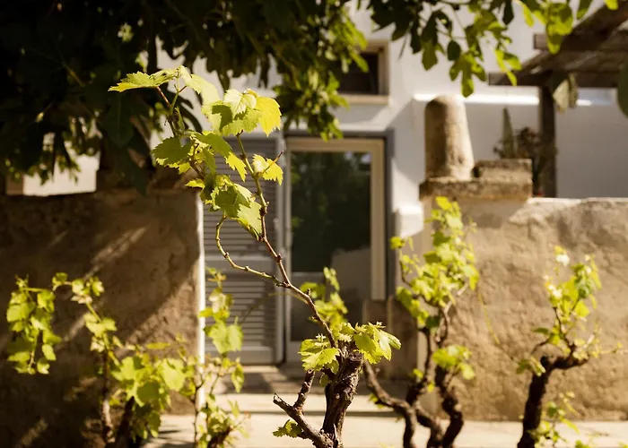 Casale alle Vigne