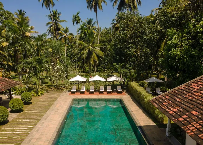 Uga Riva - Negombo