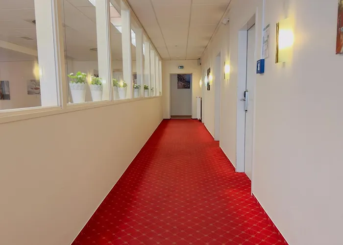 Elbbrücken