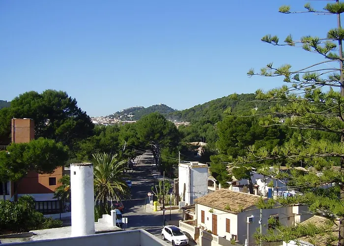 Perros hoteles Zhimbad B&B By The Sea